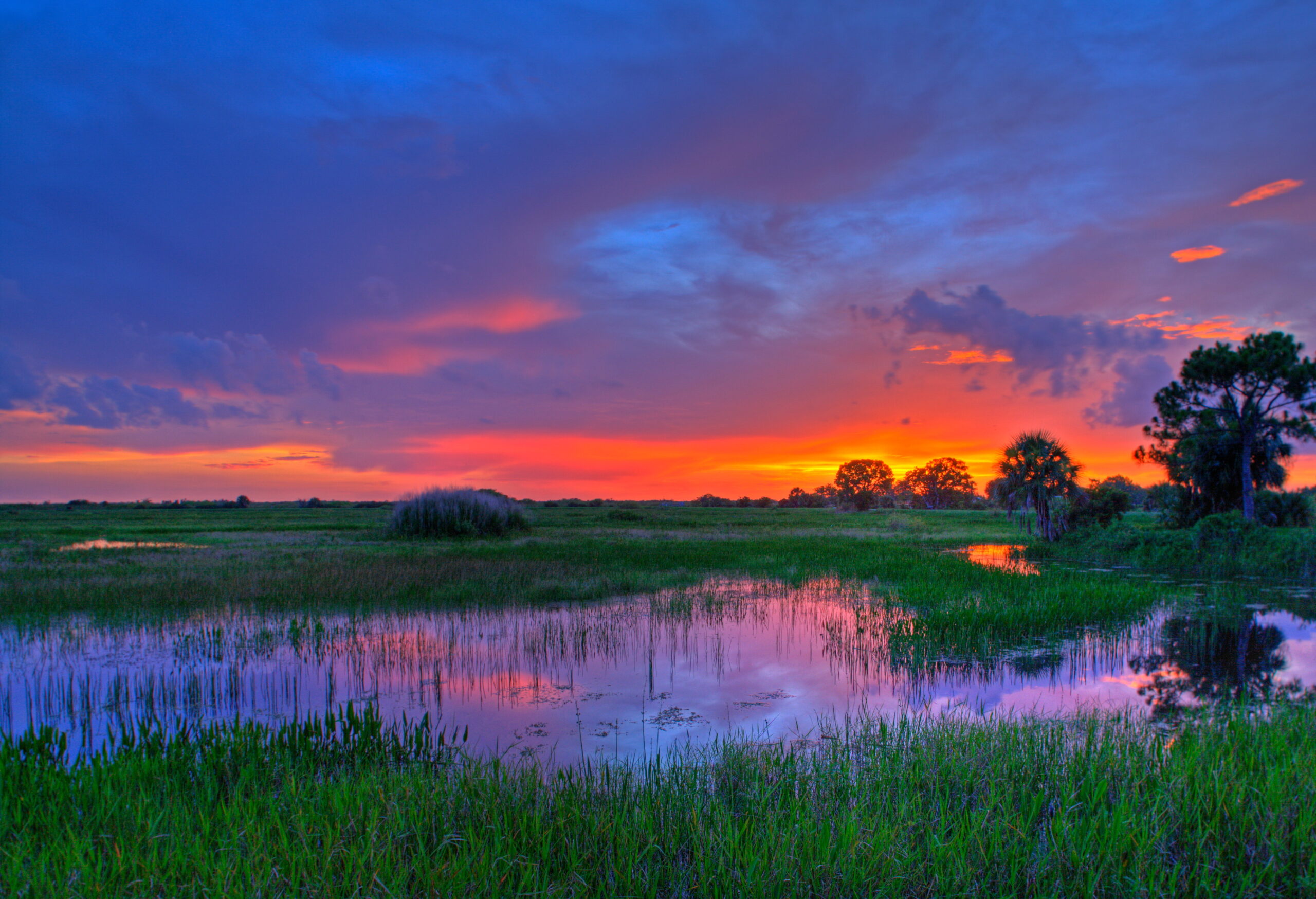 SWFL Sunset